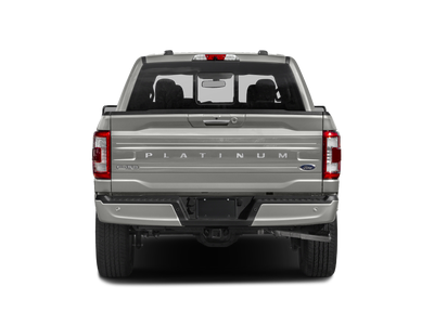 2023 Ford F-150 Platinum LIFTED