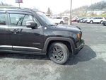 2017 Jeep Renegade Deserthawk